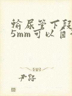 输尿管下段结石5mm可以自行排出吗