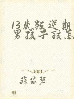 13岁叛逆期的男孩子该怎样去沟通教育