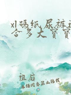 xl码纸尿裤适合多大宝宝