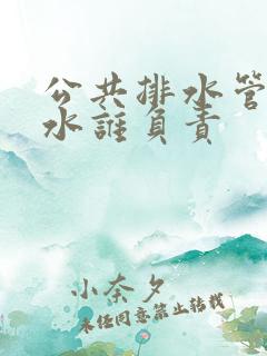 公共排水管道漏水谁负责