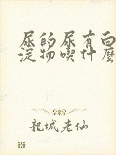 尿的尿有白色沉淀物吃什么药