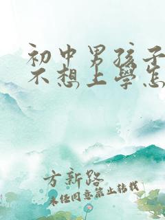 初中男孩子叛逆不想上学怎么办