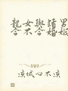 龙女与猪男属相合不合婚姻