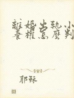 离婚出轨小孩抚养权怎么判