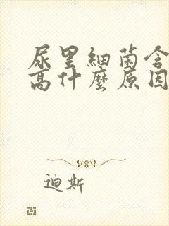 尿里细菌含量很高什么原因