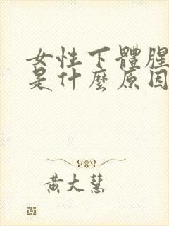 女性下体腥味重是什么原因