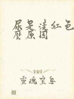 尿是淡红色是什么原因