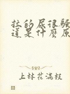 拉的尿很骚的味道是什么原因