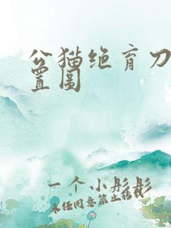 公猫绝育刀口位置图