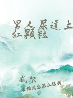 男人尿道上长小红颗粒