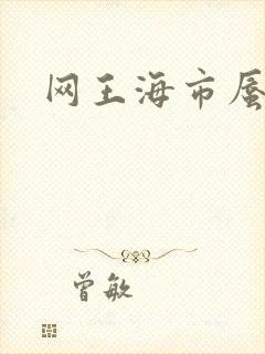 网王海市蜃楼