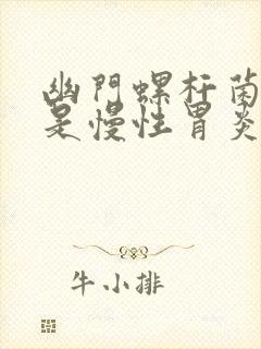 幽门螺杆菌是不是慢性胃炎