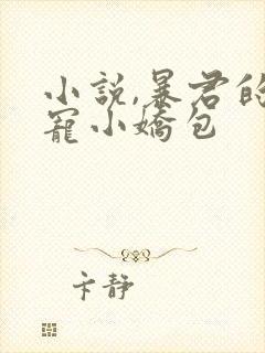 小说,暴君的甜宠小娇包