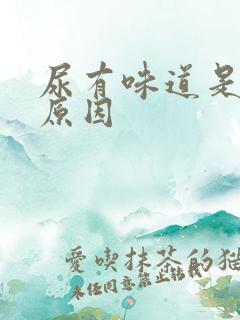 尿有味道是什么原因