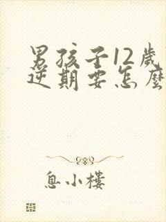 男孩子12岁叛逆期要怎么管教