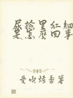 尿检里红细胞高是怎么回事