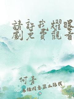 请许我耀眼电视剧免费观看