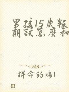 男孩15岁叛逆期该怎么和他相处