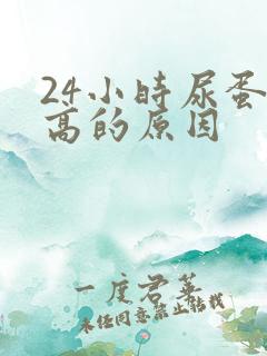 24小时尿蛋白高的原因