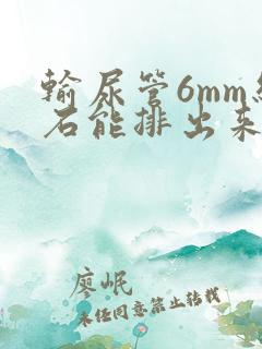 输尿管6mm结石能排出来吗