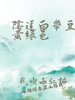 阴道白带豆腐渣黄绿色