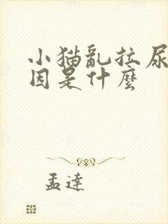 小猫乱拉尿的原因是什么