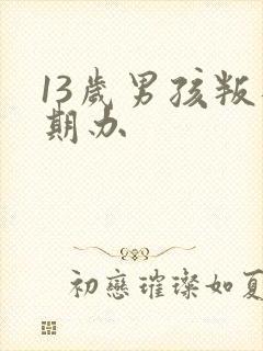 13岁男孩叛逆期办