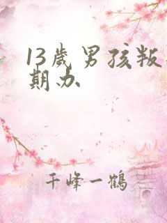 13岁男孩叛逆期办