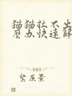 猫猫拉不出尿怎么办快速解决猫猫