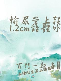 输尿管上段结石1.2cm能体外碎石吗