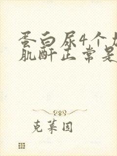 蛋白尿4个加号肌酐正常是怎么回事