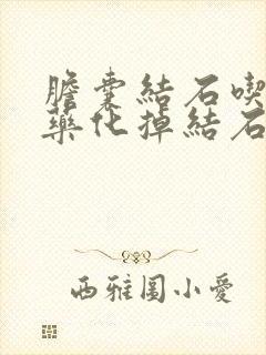 胆囊结石吃什么药化掉结石