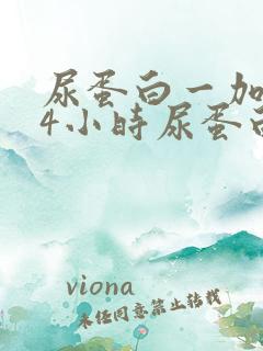 尿蛋白一加,24小时尿蛋白定量正常