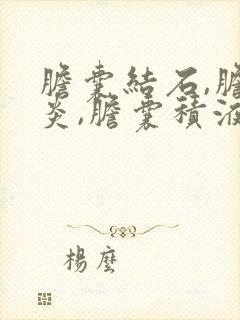 胆囊结石,胆囊炎,胆囊积液