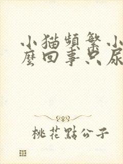 小猫频繁小便怎么回事只尿一点