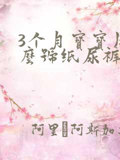 3个月宝宝用什么号纸尿裤