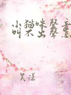 小猫咪声音沙哑叫不出声怎么回事儿