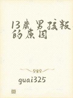 13岁男孩叛逆的原因