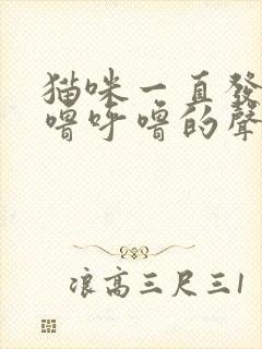 猫咪一直发出呼噜呼噜的声音