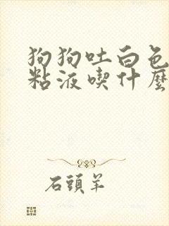 狗狗吐白色泡沫粘液吃什么药效果好