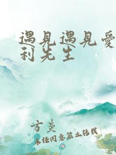 遇见遇见爱情的利先生