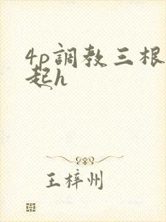 4p调教三根一起h