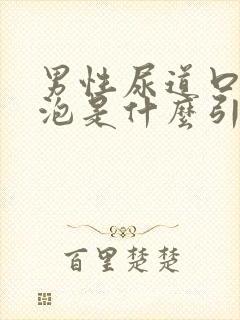 男性尿道口长水泡是什么引起的