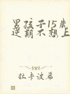 男孩子15岁叛逆期不想上学怎么办