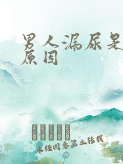 男人漏尿是什么原因