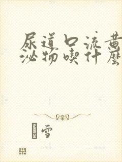 尿道口流黄色分泌物吃什么药