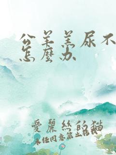 公羊羔尿不出尿怎么办