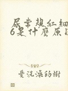 尿常规红细胞46是什么原因