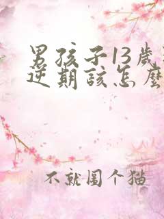 男孩子13岁叛逆期该怎么沟通