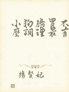 小狗肠胃不好怎么调理最有效